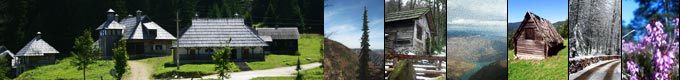 Tara planina - Predov krst